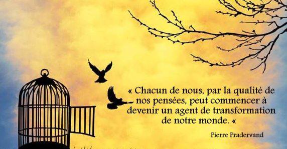 La pratique de la bienveillance