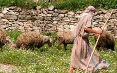 A meditation on the Shepherd’s Psalm