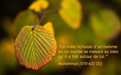 Quand les Riches investissent dans l’Egalité Raciale