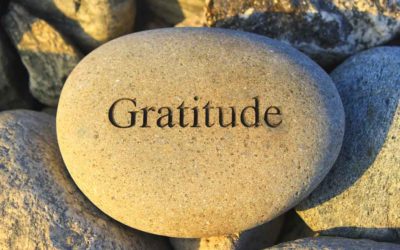 For Life’s Abundance