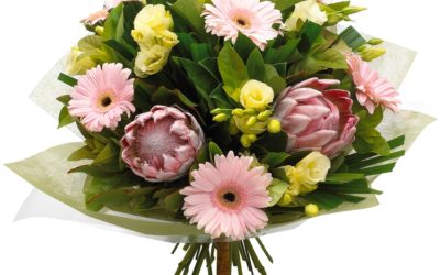 Des fleurs amènent un sourire