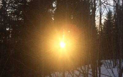 The Importance Of Seeing The Good In All