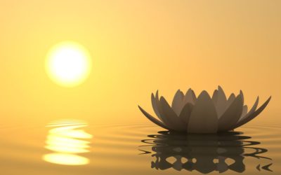 L’essence de la vraie spiritualite