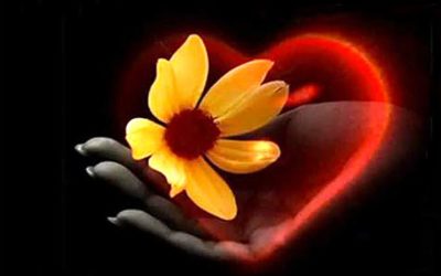Excerpts from Compassion and the Individual
