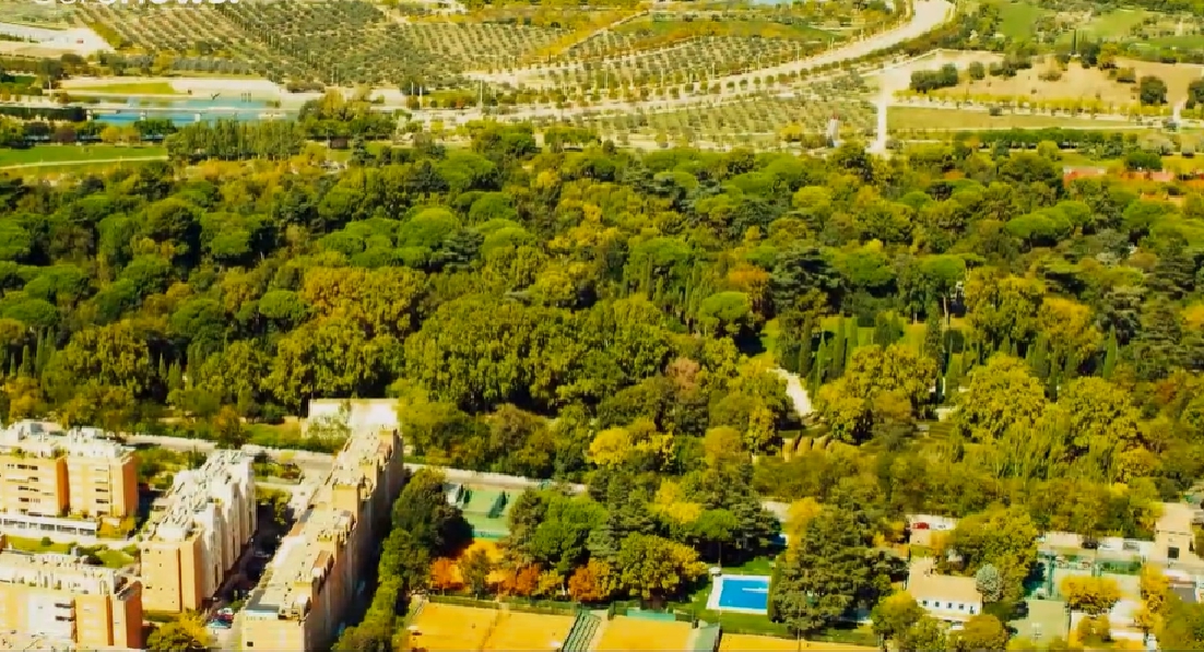 Madrid construit une immense forêt urbaine dans le but de lutter contre le changement climatique