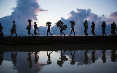 La contemplation : un chemin vers la compassion