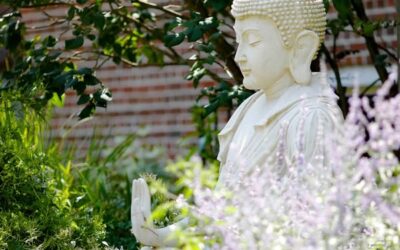Extrait de « Force of Kindness » par Sharon Salzberg