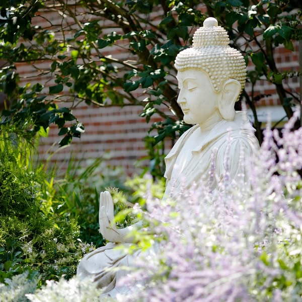 Excerpt from “The Force of Kindness” – Sharon Salzberg