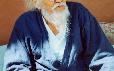 Life in Harmony with Nature: The Quiet Wisdom of Masanobu Fukuoka