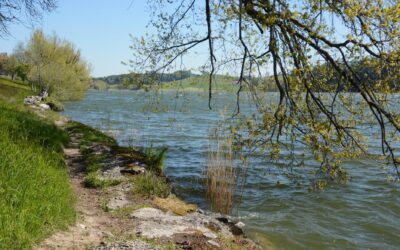 La Prière de la Sérénité, un guide pour l’âme