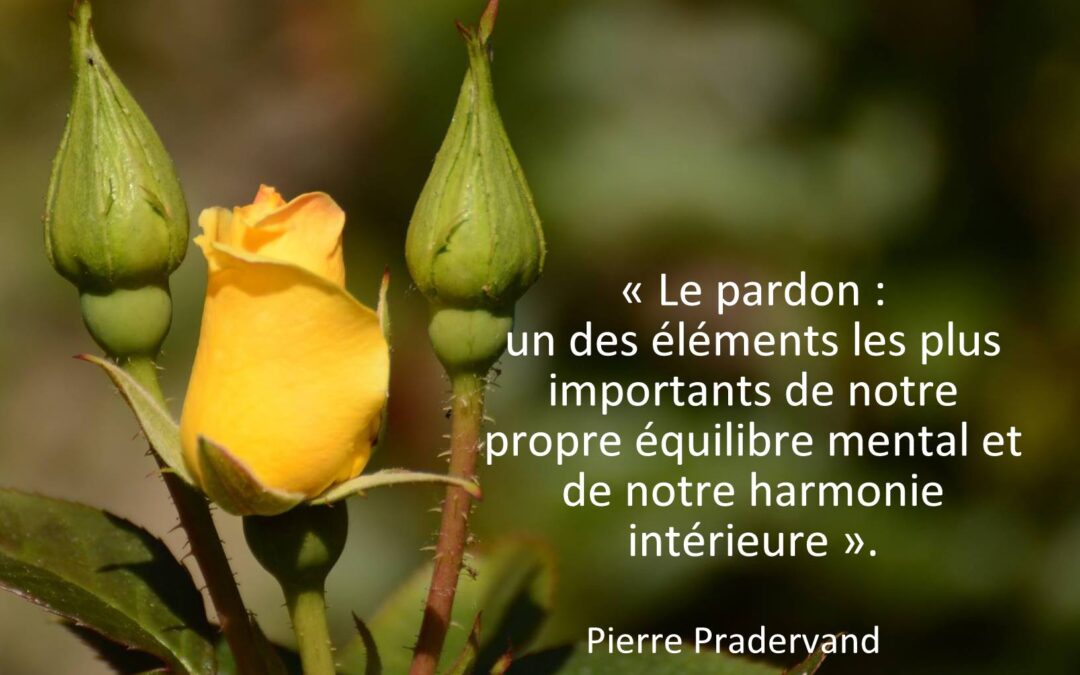 Le pardon nous change et change aussi notre cerveau