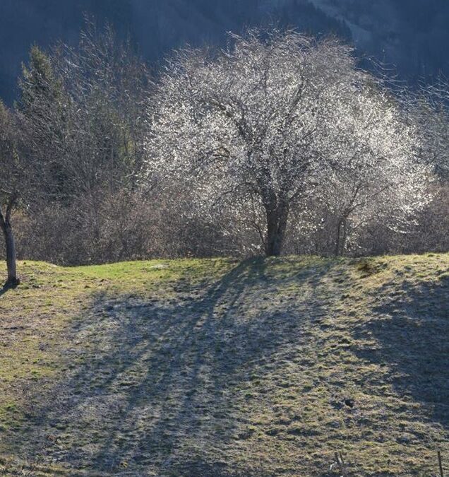 Bénédiction pour la Nouvelle Année