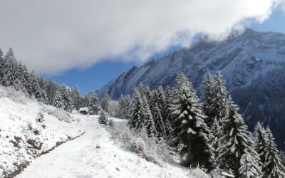 Ce que les années nous enseignent