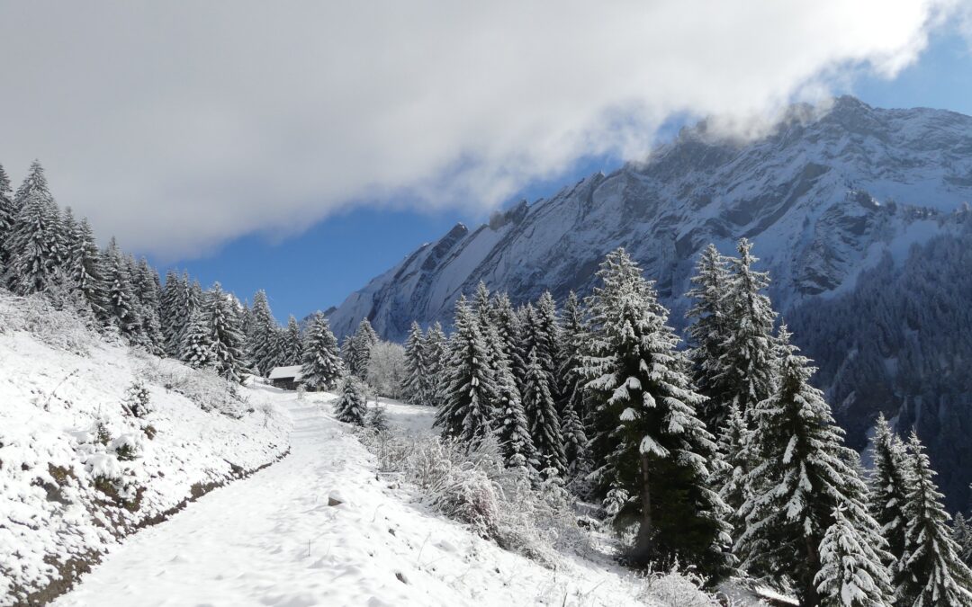 What the years teach us