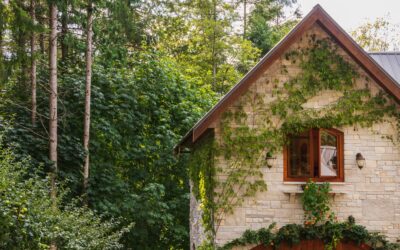 Sagesse d’un mystique Sufi