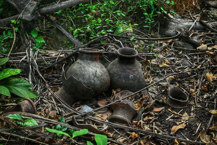 Une organisation à but non lucratif enlève 300 000 mines terrestres au Sri Lanka