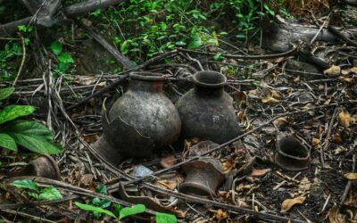 Nonprofit Removes 300k Landmines in Sri Lanka