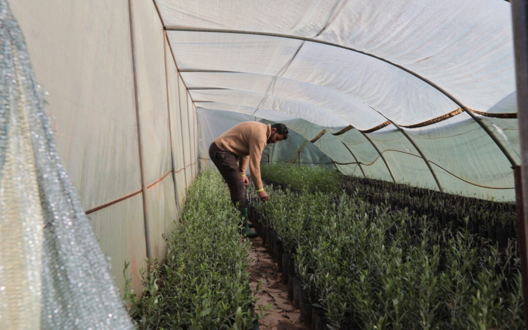 How Morocco’s Abandoned Cemeteries Give New Life Across Faiths