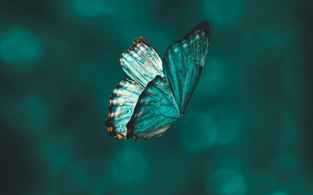 Juger ou aimer inconditionnellement