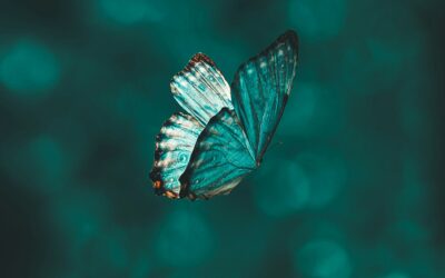 Judgment vs. unconditional love