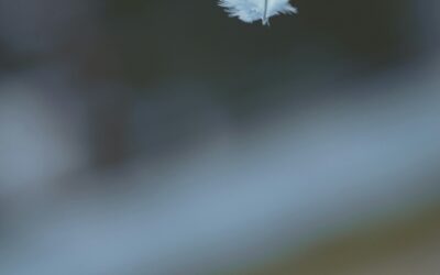 Créer la paix intérieure