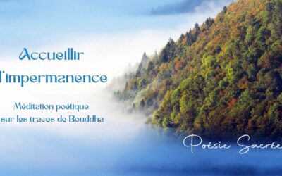 Accueillir l&rsquo;impermanence