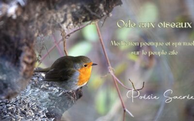 Ode aux oiseaux : méditation poétique et spirituelle sur le peuple ailé