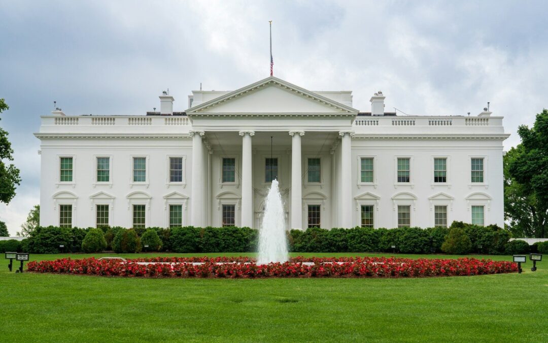 LOVING Donald Trump