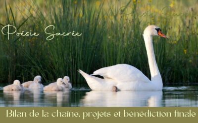 Bénédiction finale, bilan de la chaîne et projets