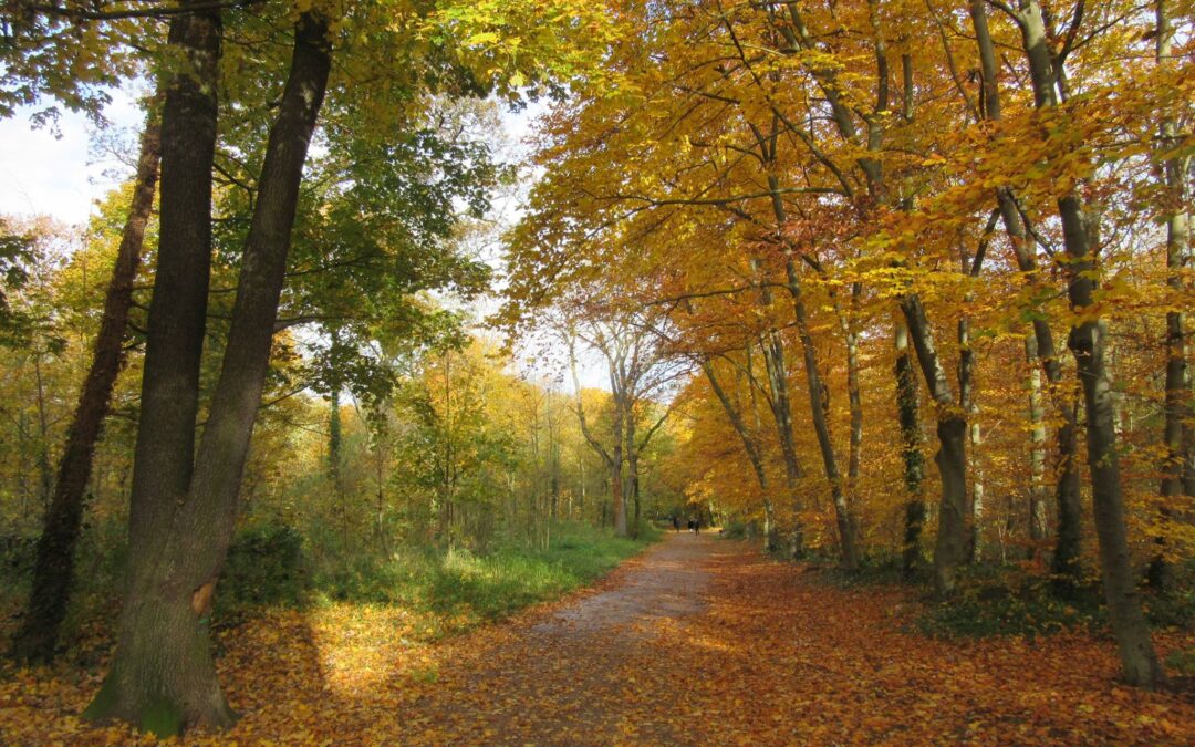 Seasons
