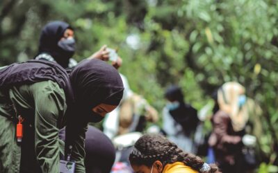 Reforesting Ethiopia with 50 Billion Trees, One Step at a Time